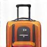 Icon representing a frequent traveler with a suitcase and airplane graphic.